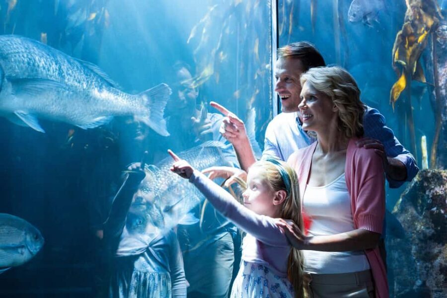 Chicago: Attraction Pass with Shedd Aquarium-Save up to 50%<em> – Key Things That Make This Pass Worth Your Time’ /></p>
<ul>
<li><strong>30+ included attractions</strong> means you’re not guessing whether you picked the right “one big thing.”</li>
<li><strong>Digital guide + digital pass</strong> help you plan fast and move through attractions with less ticket hassle.</li>
<li><strong>360 Chicago and SkyDeck Chicago</strong> deliver the classic skyline payoff, and you can choose which one to prioritize.</li>
<li><strong>Reservation-heavy highlights</strong> (like 360, SkyDeck, and the Lakefront Speedboat Tour) require early planning.</li>
<li><strong>Flexible pacing</strong>: you don’t have to do everything—this works best when you pick a focused mix.</li>
</ul>
<h2 id="what-this-chicago-attraction-pass-really-gives-you">What This Chicago Attraction Pass Really Gives You</h2>
<p><img width="900" height="580" decoding="async" src=