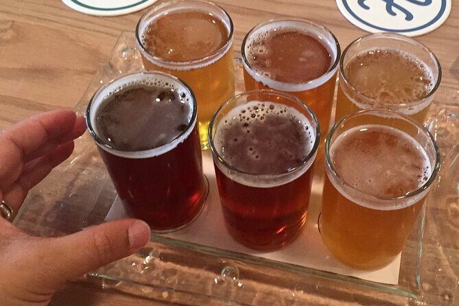 Chicago Local Brewery Expedition with Homemade Guacamole - Who should book this brewery expedition