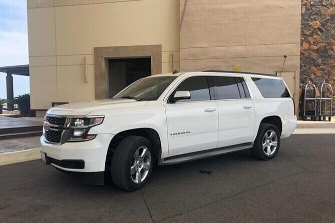 Private Transfer Chicago Airport MDW to Chicago Downtown - MDW Pickup Details: Where You Start Matters